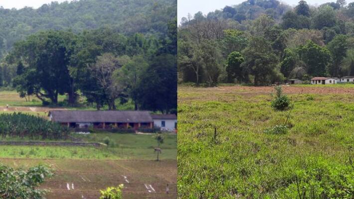 sulthan bathery chettiyalathur tribal settlement rehabilitation sulthan bathery chettiyalathur tribal settlement rehabilitation