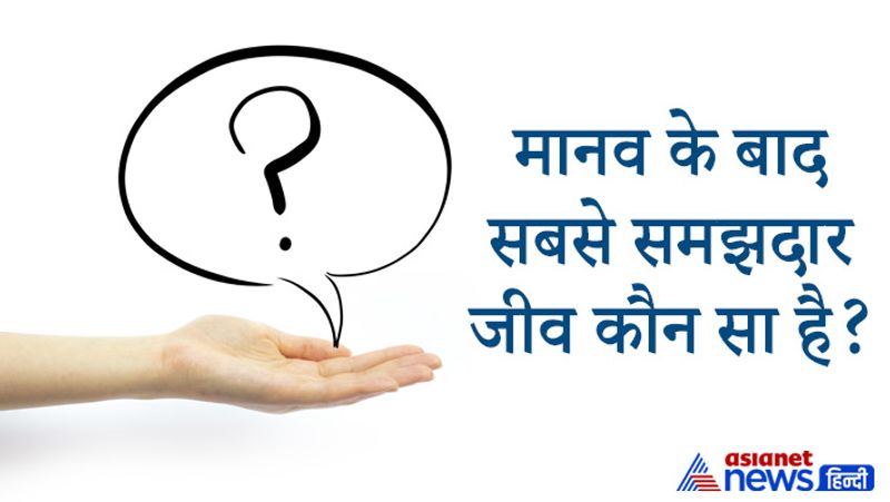 upsc interview tricky questions asked in Civil Services Exam