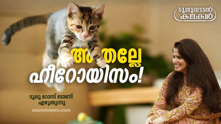Tulunadan kathakal a column by Tulu Rose Tony on two kittens Tulunadan kathakal a column by Tulu Rose Tony on two kittens