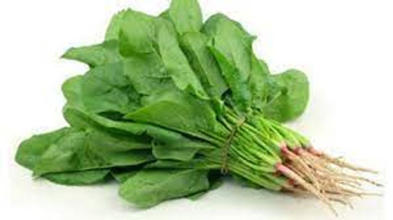 Folate deficiency may cause depression
