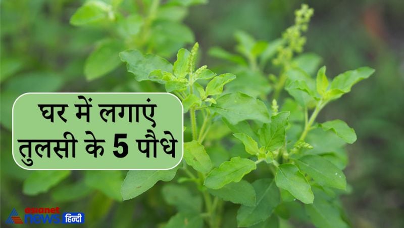 Vastu Tips which may save from financial and other problems