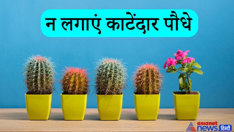 Vastu Tips which may save from financial and other problems