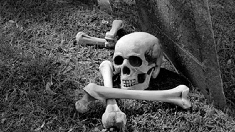 China Scientists have solved the world oldest murder mystery