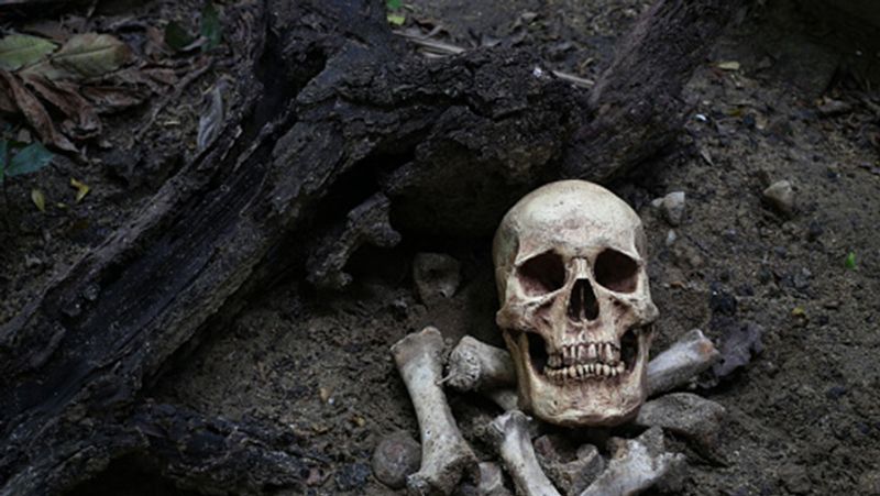 China Scientists have solved the world oldest murder mystery