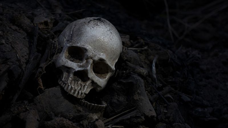 China Scientists have solved the world oldest murder mystery