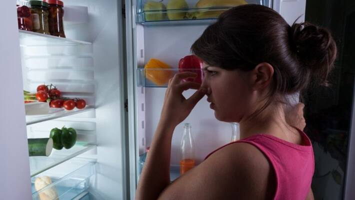 tips to stop unpleasant odour from your refrigerator tips to stop unpleasant odour from your refrigerator