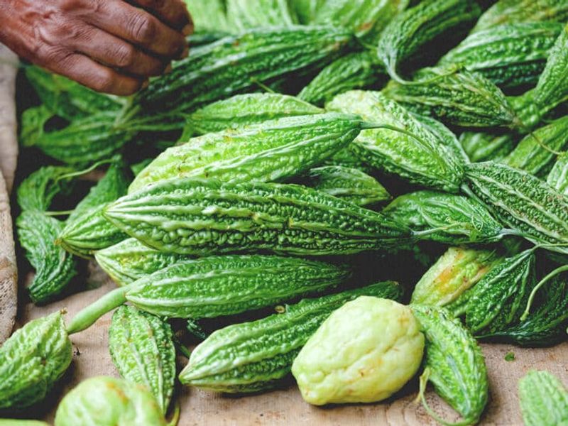 Bitter gourd health and beauty benefits full details here