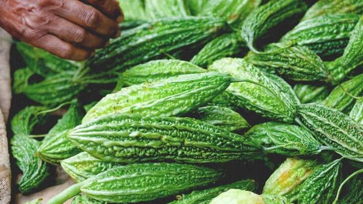 health benefits of eating bitter gourd health benefits of eating bitter gourd