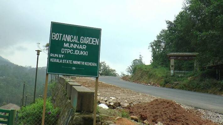 In total, less than 5,000 tourists visited Munnar Botanic Garden In total, less than 5,000 tourists visited Munnar Botanic Garden