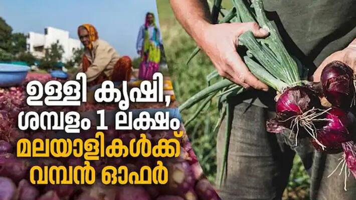 many candidates return after knowing more details of onion farming vaccancy in south korea for 1.12 lakh salary many candidates return after knowing more details of onion farming vaccancy in south korea for 1.12 lakh salary