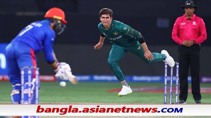 T20 World Cup 2021, Afghanistan set 148 runs target for Pakistan ALB T20 World Cup 2021, Afghanistan set 148 runs target for Pakistan ALB