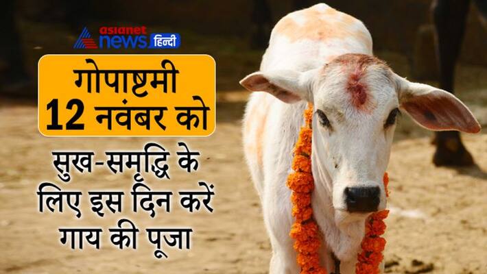 Gopashtami 2021 on 12th November, worship cow on this day for happiness and prosperity Gopashtami 2021 on 12th November, worship cow on this day for happiness and prosperity