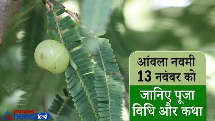 Amla Navami 2021 on 13th October, know puja vidhi and story Amla Navami 2021 on 13th October, know puja vidhi and story