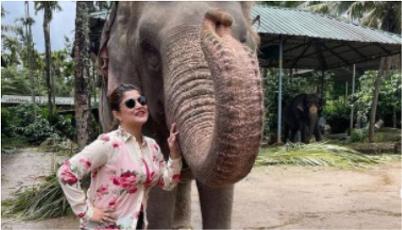 Bengali Actress Srabanti Chatterjee Brutally trolled for posting photos with elephant BRD