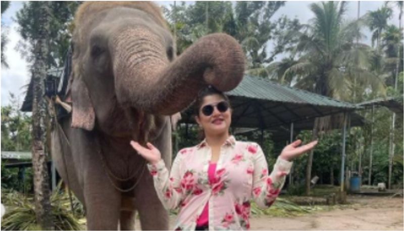 Bengali Actress Srabanti Chatterjee Brutally trolled for posting photos with elephant BRD