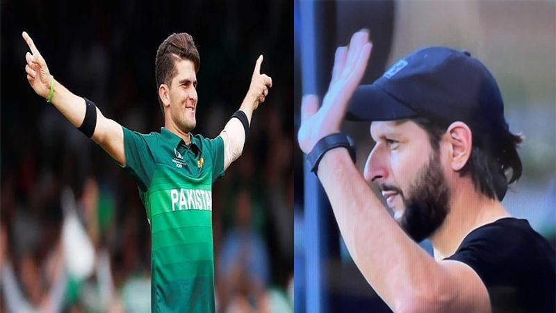 T20 World Cup 2021: Pakistan vs Afghanistan, Shahid Afridi enjoys victory of his team, see pictures