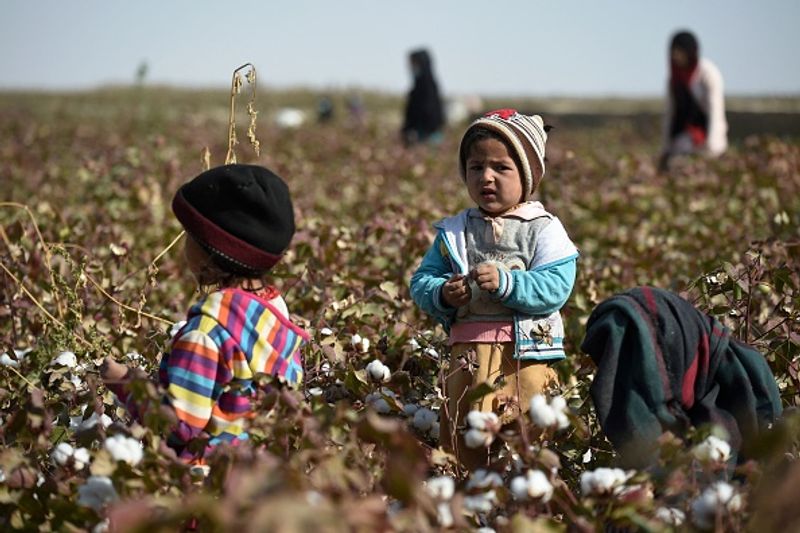 UN warns child mortality in afghan