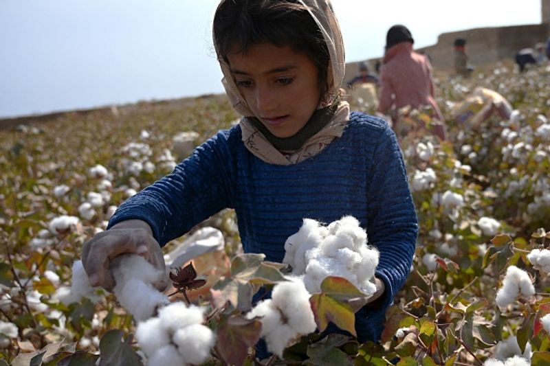 UN warns child mortality in afghan