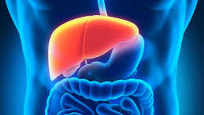Foods That Are Good for Your Liver Foods That Are Good for Your Liver