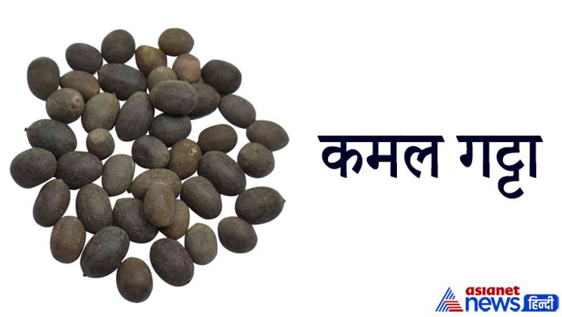 Diwali and Dhanteras 2021, bring any one of these 6 things home on this festival for good luck