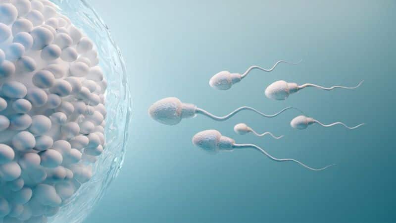 Facts about sperm donation