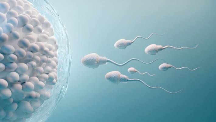 Know the causes of Male infertility and tips to get relief ABSC Know the causes of Male infertility and tips to get relief ABSC