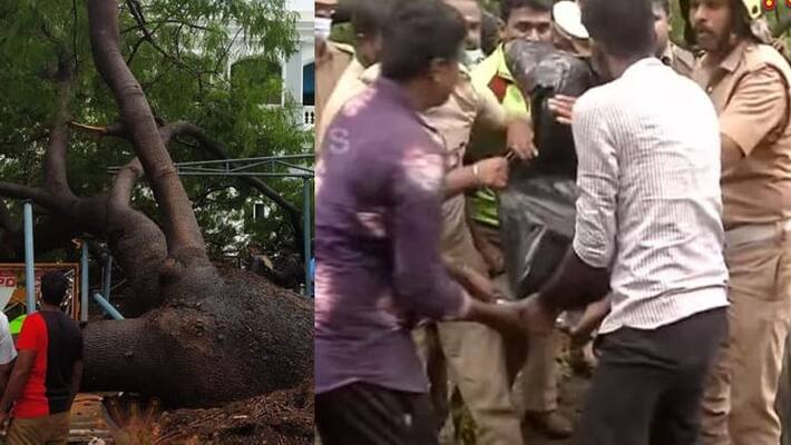 Female police officer killed after falling from tree at Chennai General Secretariat .. Police department shocked. Female police officer killed after falling from tree at Chennai General Secretariat .. Police department shocked.