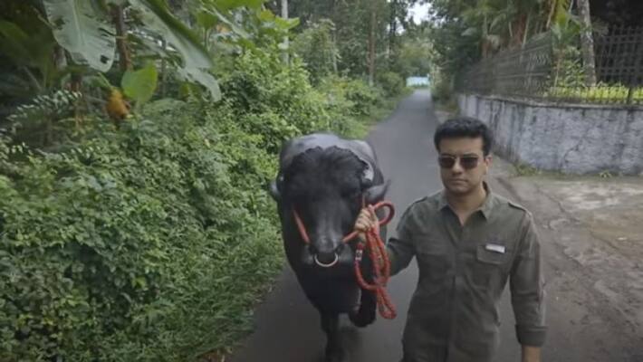 Ramesh Pisharody petflix first episode watch video Ramesh Pisharody petflix first episode watch video