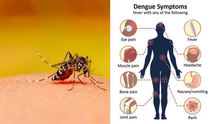 Central Teams Sent To 9 States Facing Dengue Outbreak pod Central Teams Sent To 9 States Facing Dengue Outbreak pod