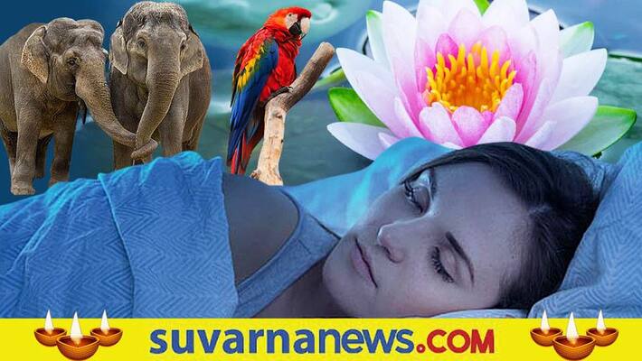 Superstitions that indicate GOOD LUCK skr Superstitions that indicate GOOD LUCK skr