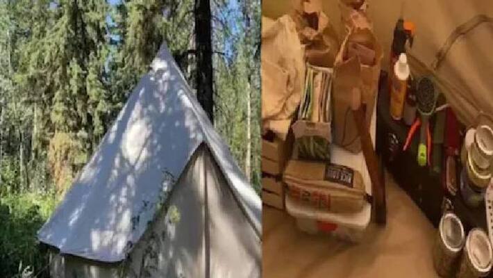 canadian woman lives in a forest canadian woman lives in a forest