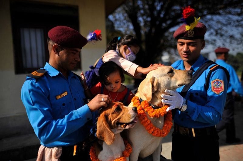 The festival of worshipping dogs