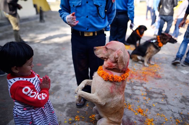 The festival of worshipping dogs
