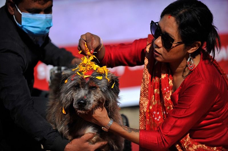The festival of worshipping dogs