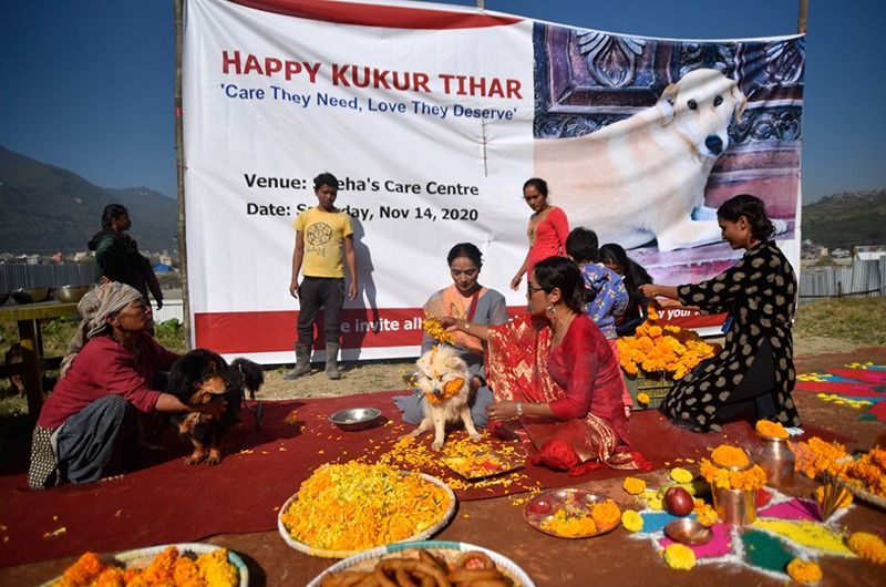 The festival of worshipping dogs