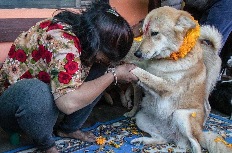 The festival of worshipping dogs