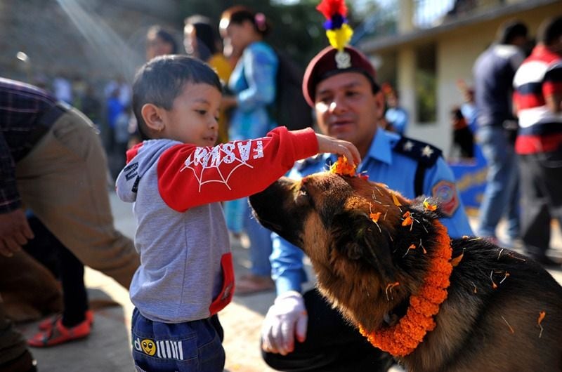 The festival of worshipping dogs