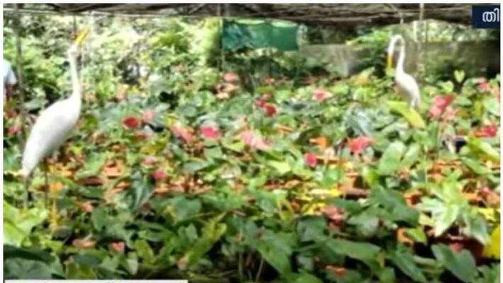 hiding cctv man stole expensive plants in trivandrum hiding cctv man stole expensive plants in trivandrum