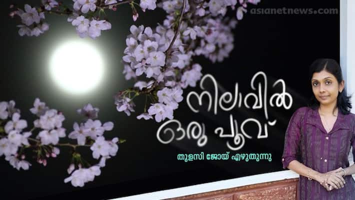 Thulasy joy column on science about Albedo Thulasy joy column on science about Albedo