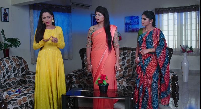Soundarya lies to Deepa when she confronts in todays Karthika deepam serial episode