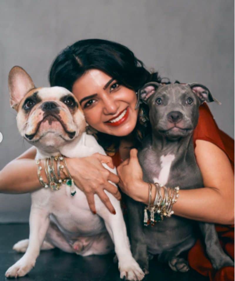 After divorce Actress samantha gets opportunity to address in prestigious goa film festival