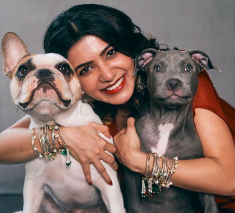 Samantha Ruth Prabhu glams up as she celebrates first Diwali since Naga Chaitanya split poses with her pets dpl