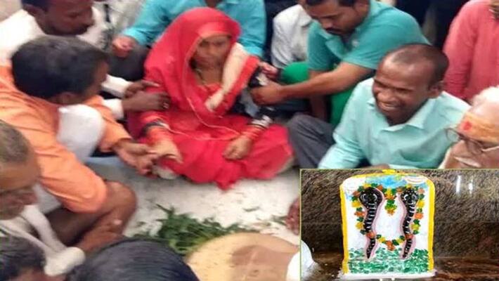 Madhya Pradesh MP Sehore Snake court in Lasudia Parihar village Nagdev explains reason for bite Madhya Pradesh MP Sehore Snake court in Lasudia Parihar village Nagdev explains reason for bite
