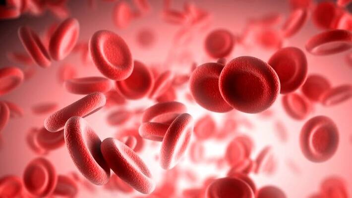 One person Blood Save 3 Lives Says Dr sunitha snr One person Blood Save 3 Lives Says Dr sunitha snr
