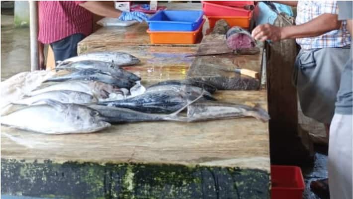 90 Kgs of fish added formalin siezed 90 Kgs of fish added formalin siezed