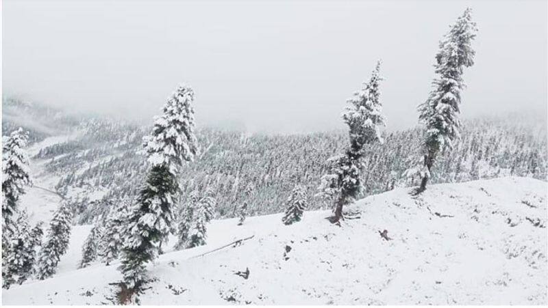 weather report, Snowfall in Jammu and Kashmir and Himachal Pradesh, effect of winter will increase KPA