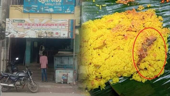 Lemon rice lizard..2 children have been admitted to hospital Lemon rice lizard..2 children have been admitted to hospital