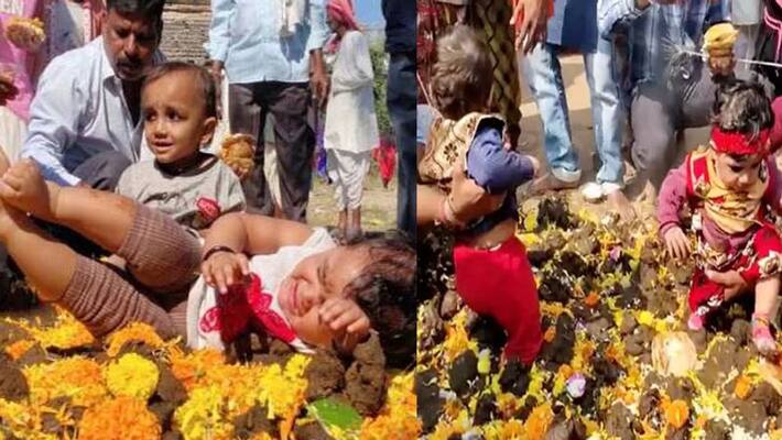 Diwali Govardhan Puja Duperstition Tradition MP Betul Children thrown put in cow dung so as remain healthy UDT Diwali Govardhan Puja Duperstition Tradition MP Betul Children thrown put in cow dung so as remain healthy UDT