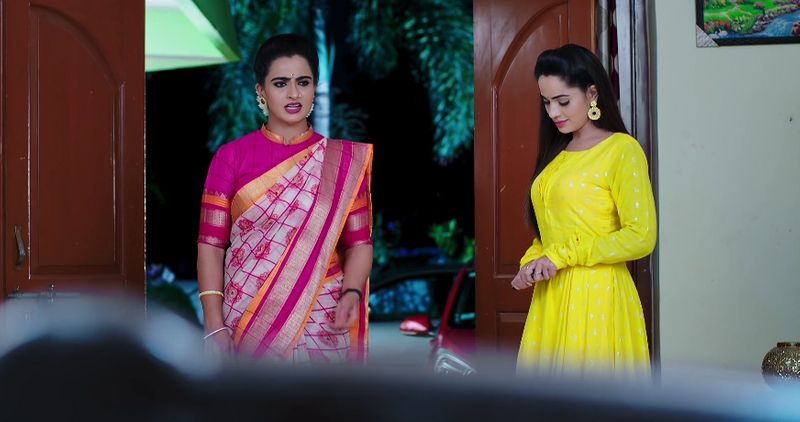 Deepa feels unwanted after overhearing Soundaryas words in todays Karthika deepam serial episode