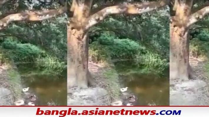 Naked minor body rescued from pond in Malda bsm Naked minor body rescued from pond in Malda bsm